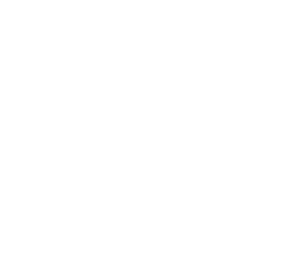 Rave SEO investors Rave SEO investors